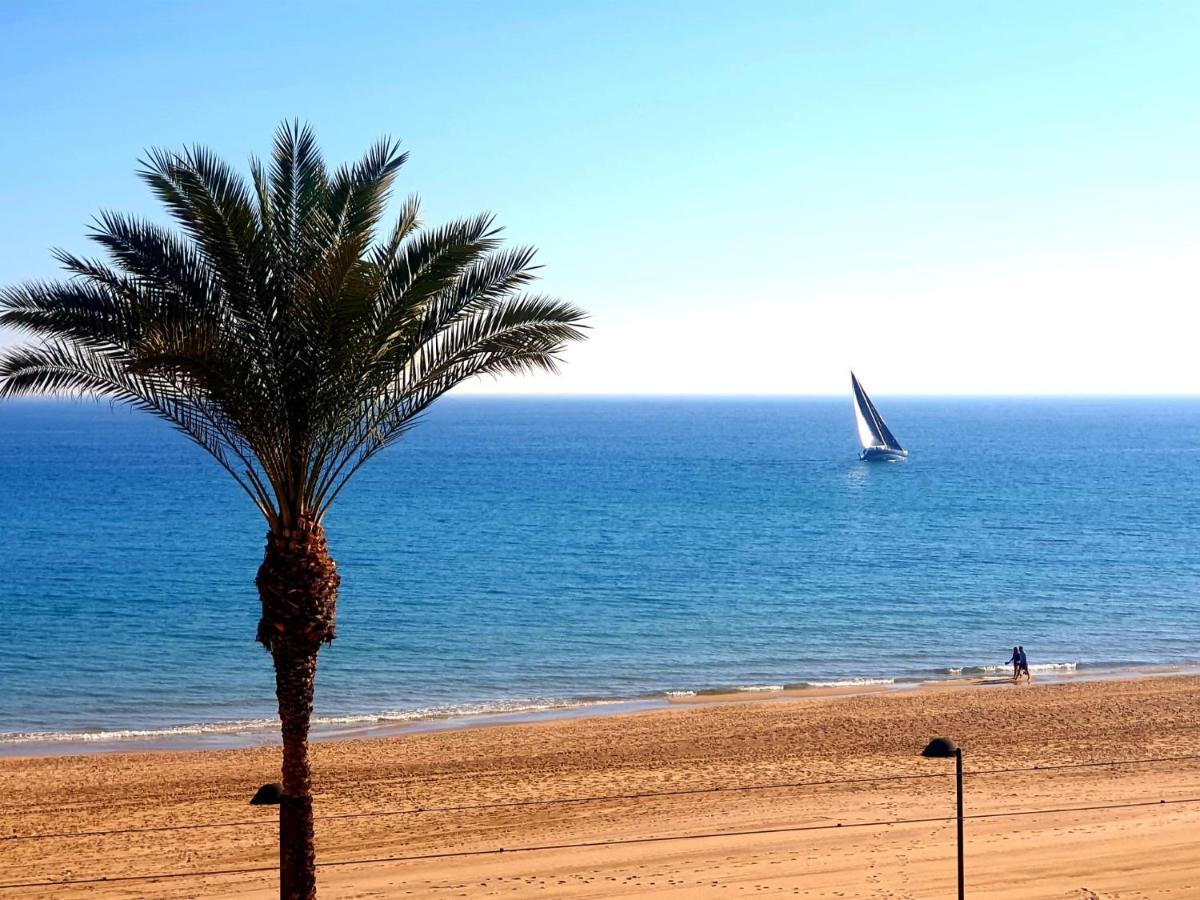 Jardin Playa San Juan Apartman Alicante Kültér fotó